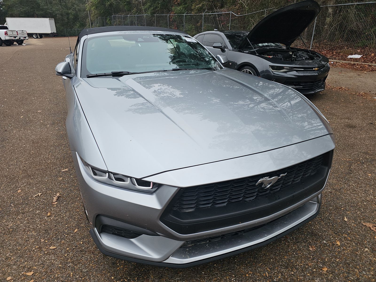 2024 Ford Mustang EcoBoost Premium RWD