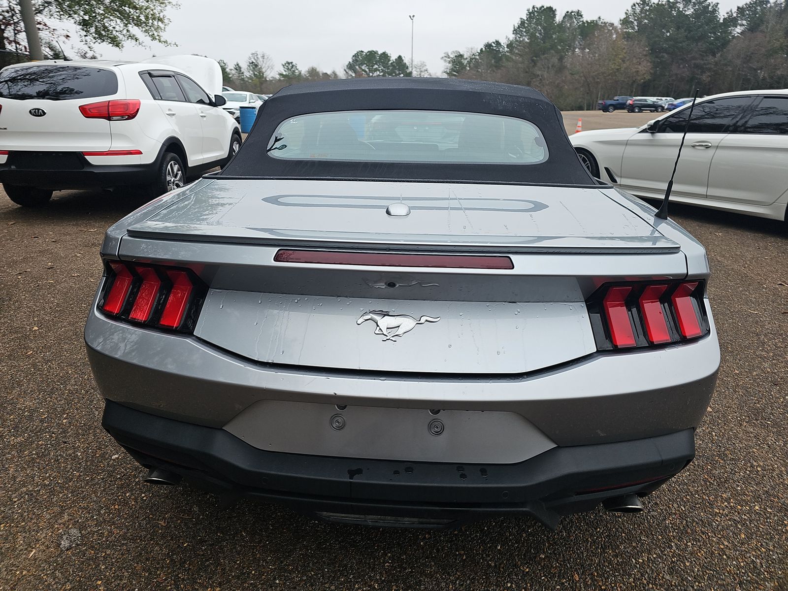 2024 Ford Mustang EcoBoost Premium RWD