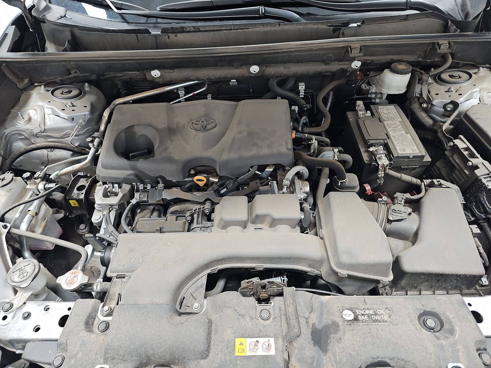 2023 Toyota RAV4 LE FWD