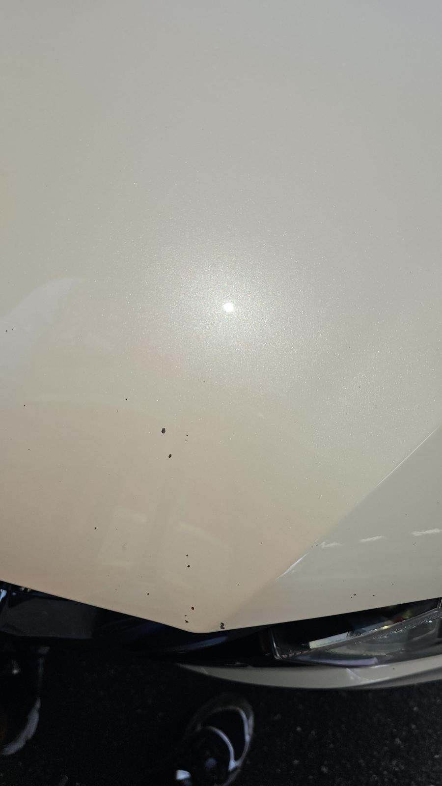 2021 Nissan Rogue Sport SV FWD