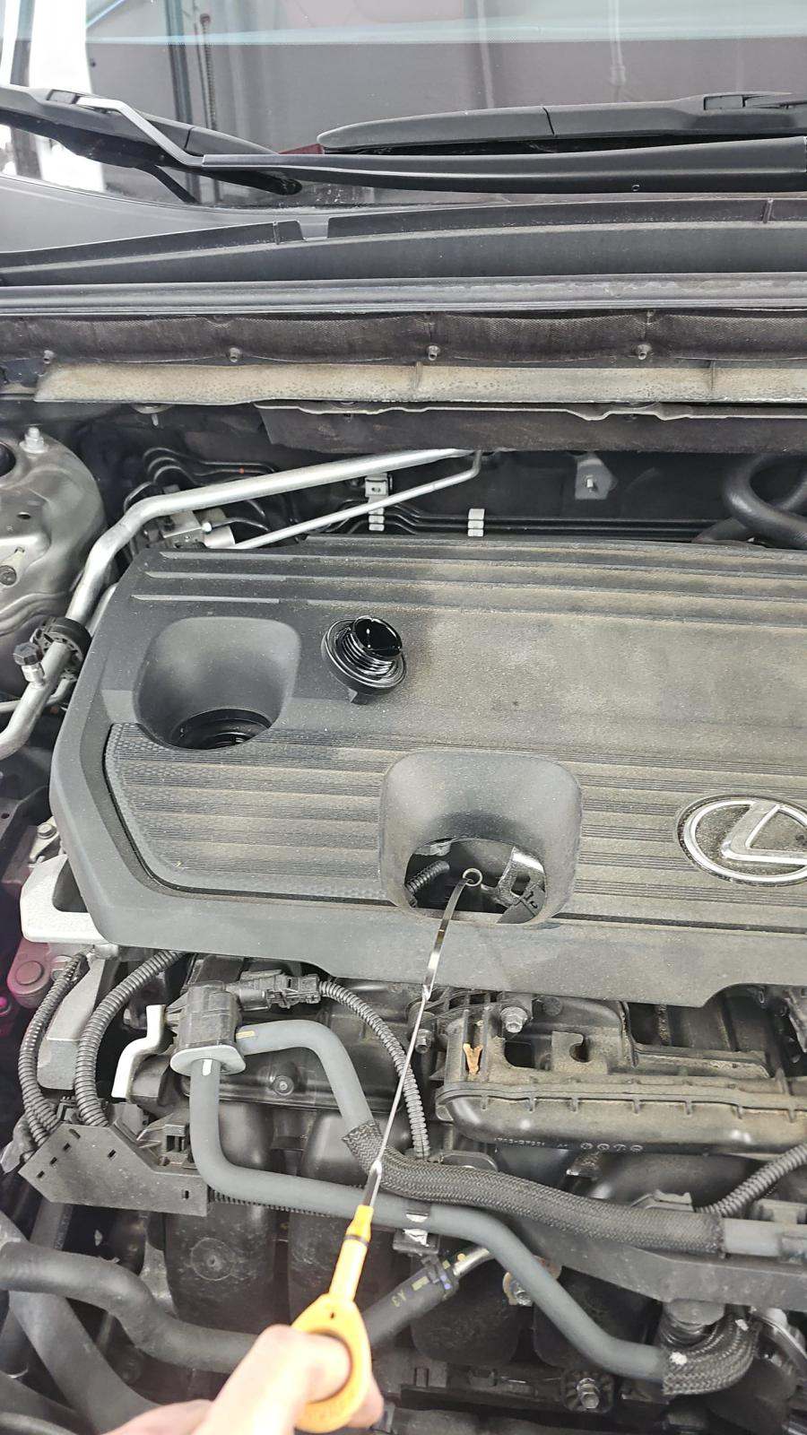 2024 Lexus NX NX 350h Premium AWD