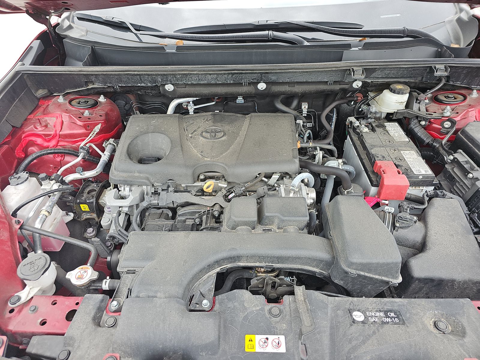 2024 Toyota RAV4 LE AWD