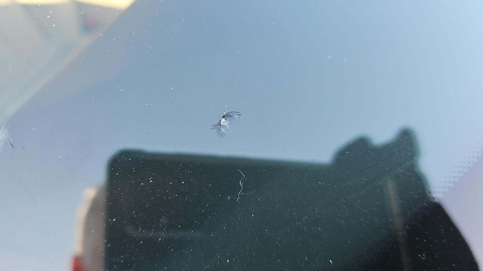 2020 BMW X7 M50i AWD