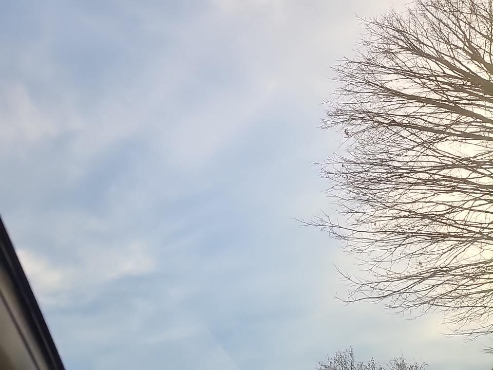 2022 Mercedes-Benz GLS GLS 450 AWD