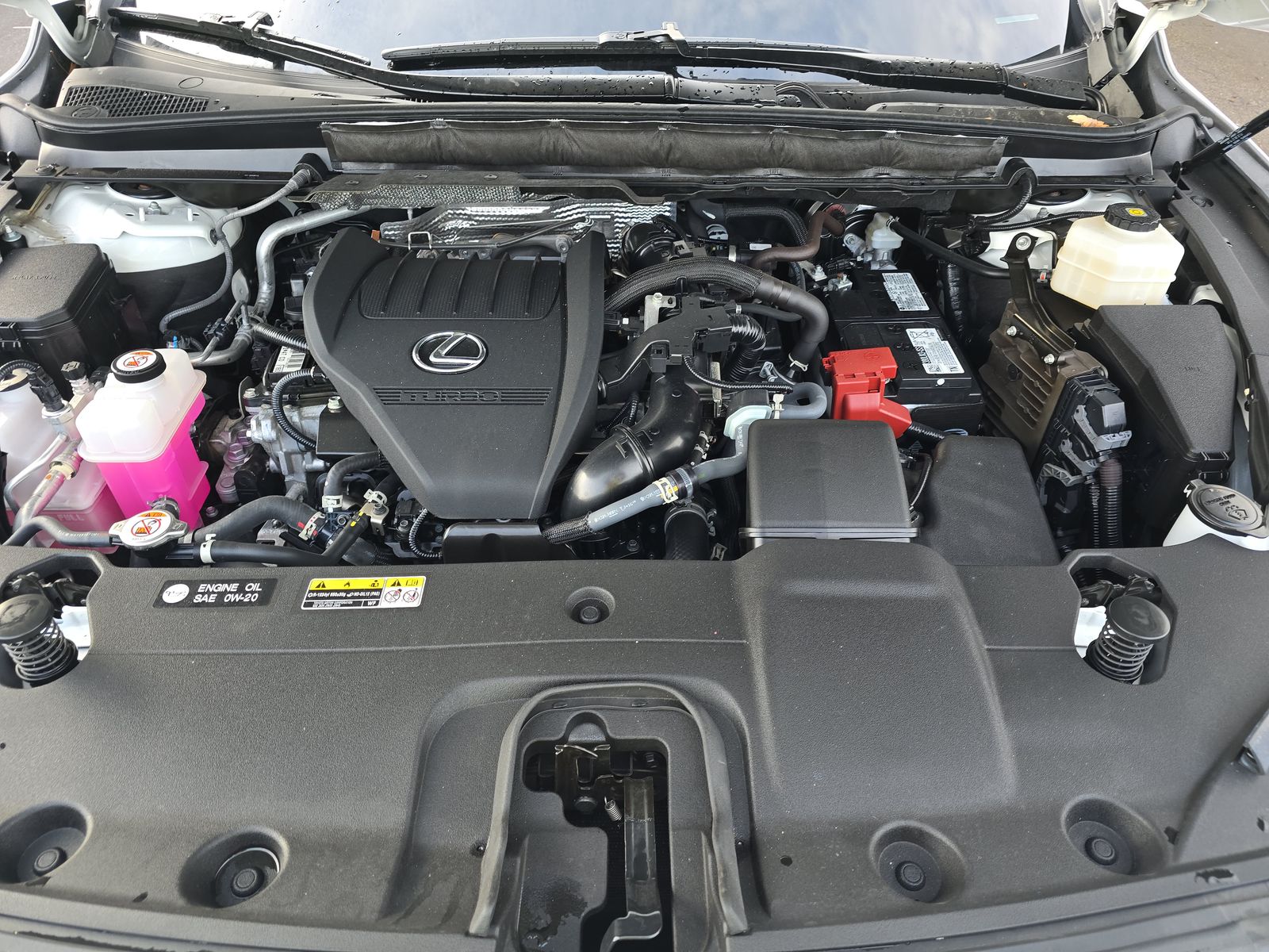 2024 Lexus RX RX 350 Premium Plus AWD