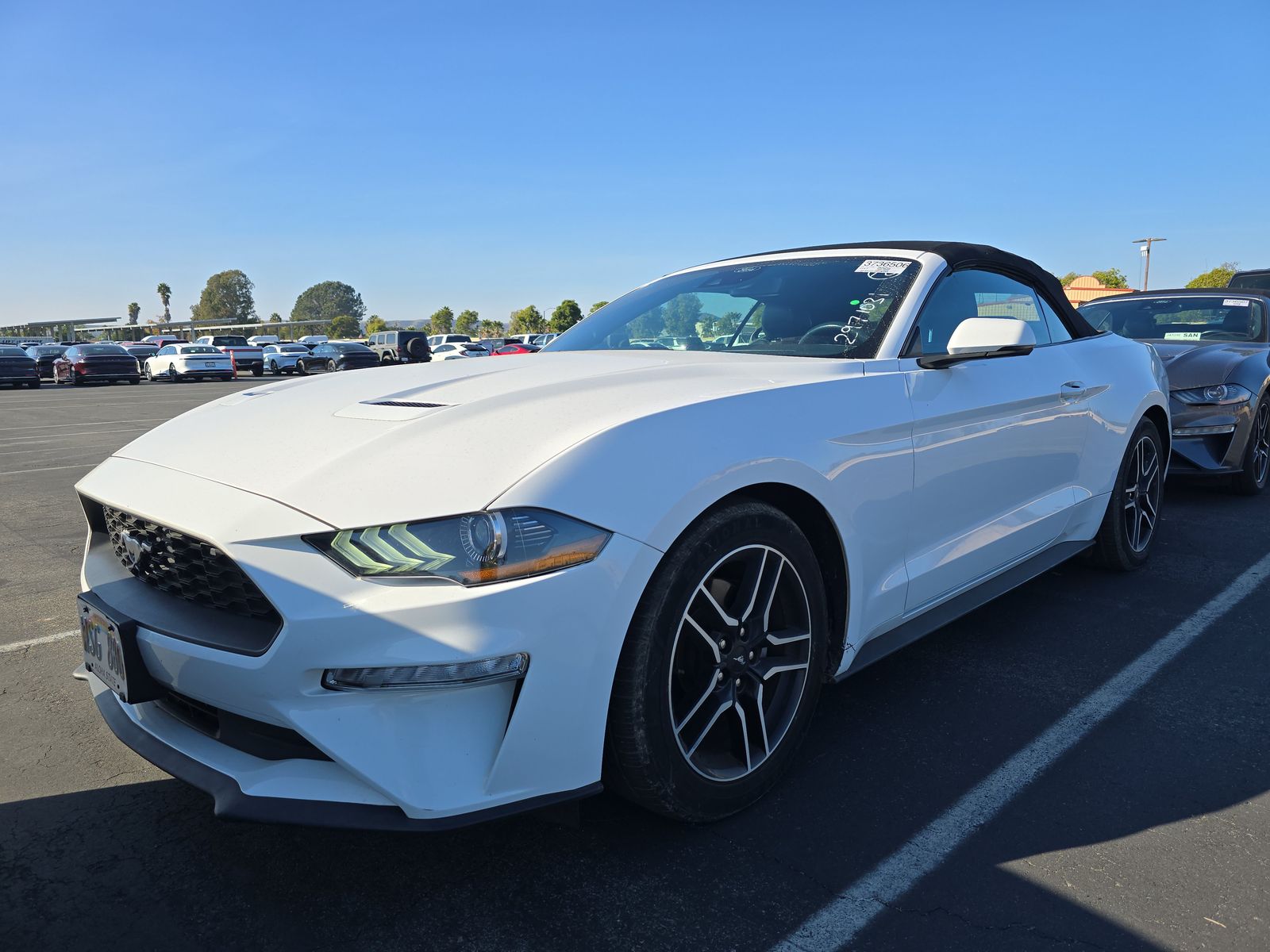 2023 Ford Mustang EcoBoost Premium RWD