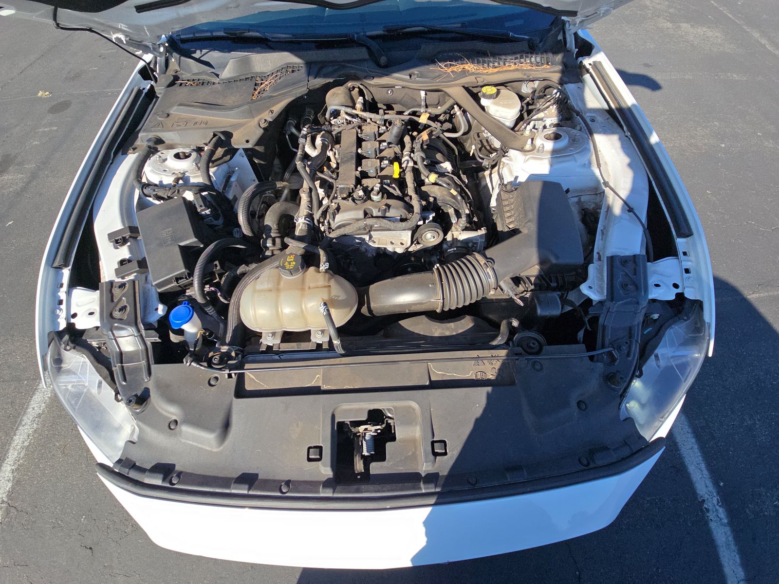 2023 Ford Mustang EcoBoost Premium RWD