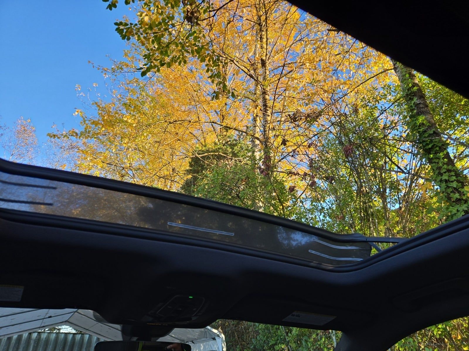 2021 Audi SQ5 Premium Plus AWD