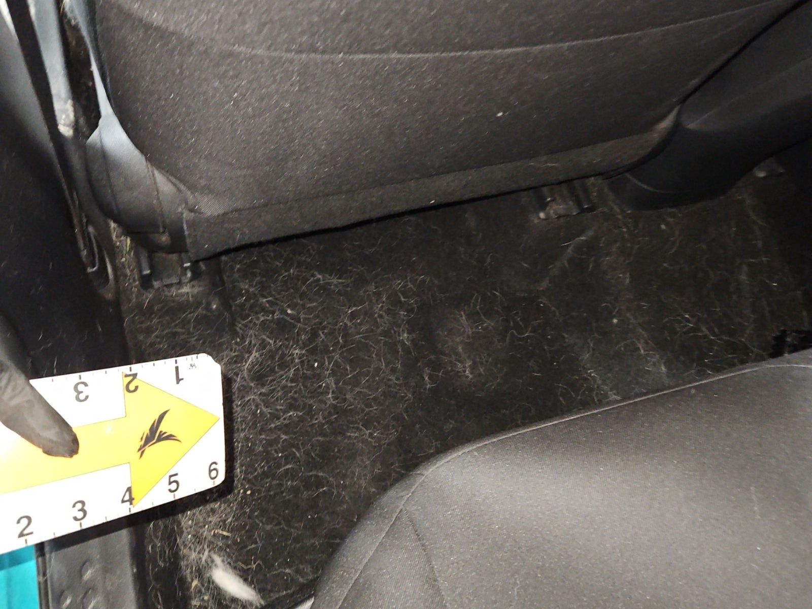 2018 Toyota C-HR XLE FWD