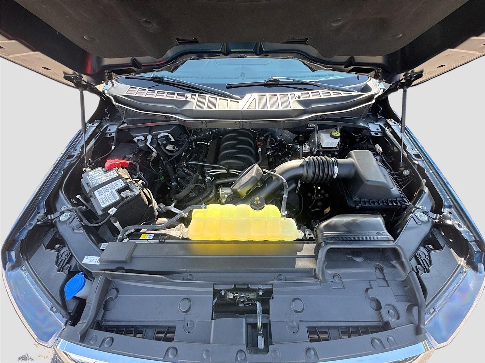 2023 Ford F-150 XLT AWD