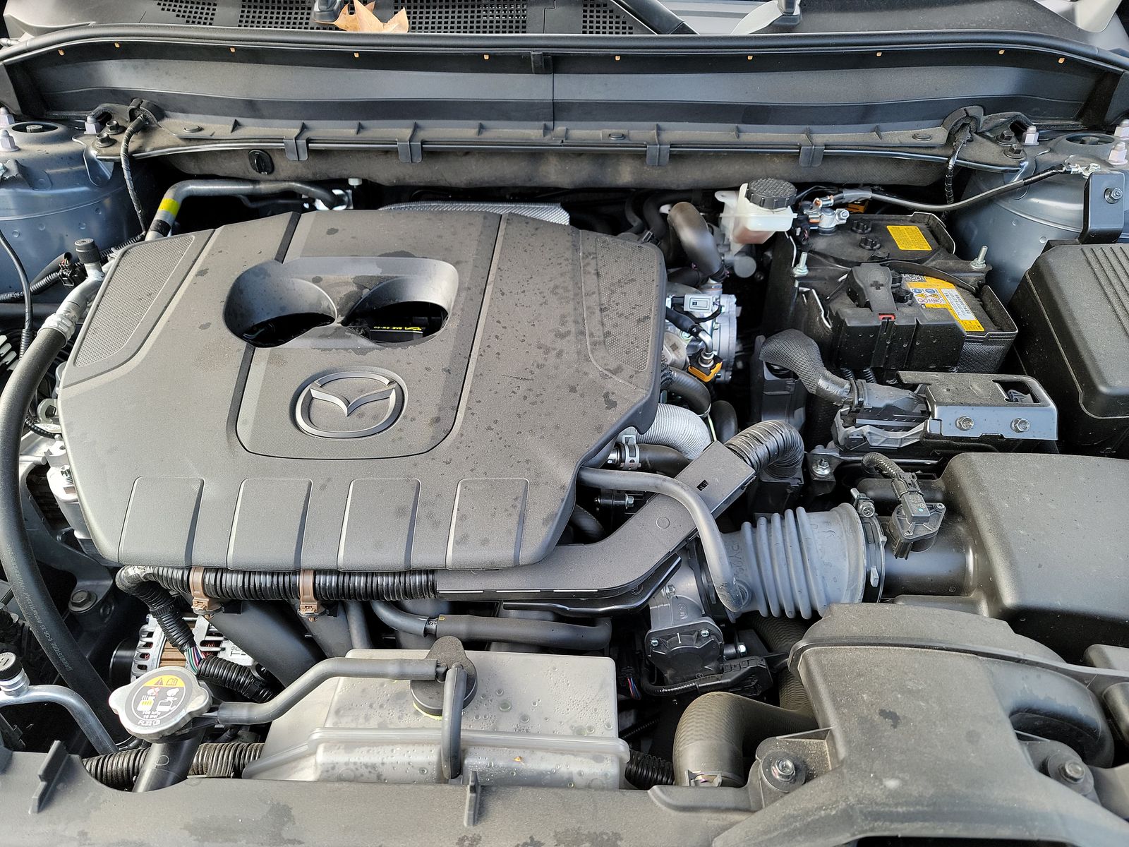 2025 MAZDA CX-5 2.5 S Carbon Edition AWD