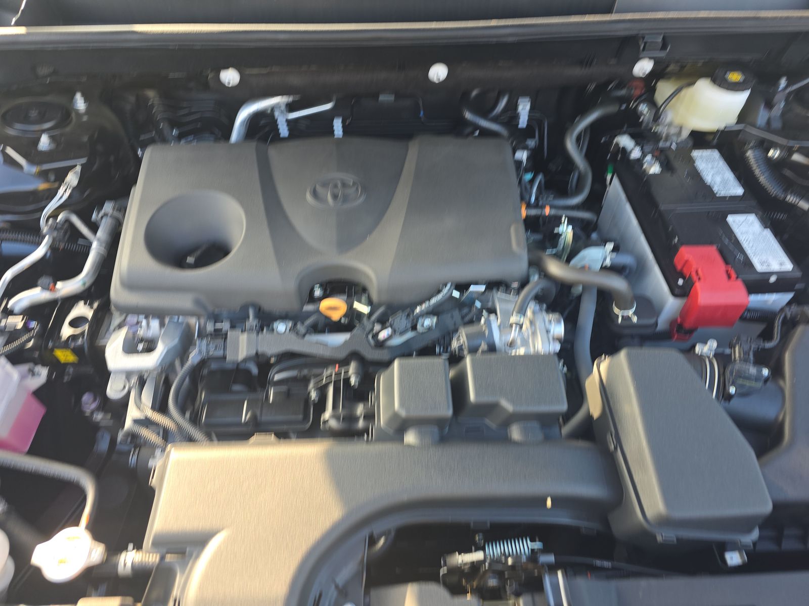 2025 Toyota RAV4 XLE FWD