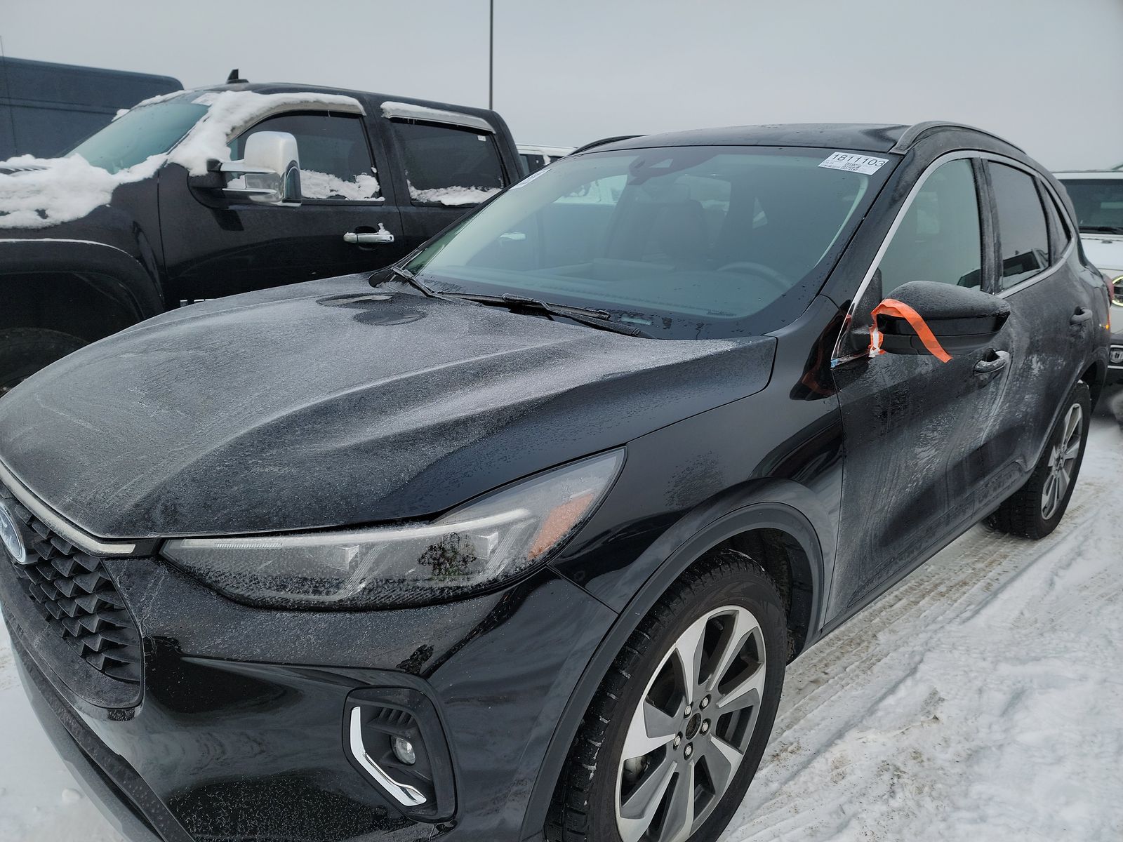 2023 Ford Escape Platinum AWD