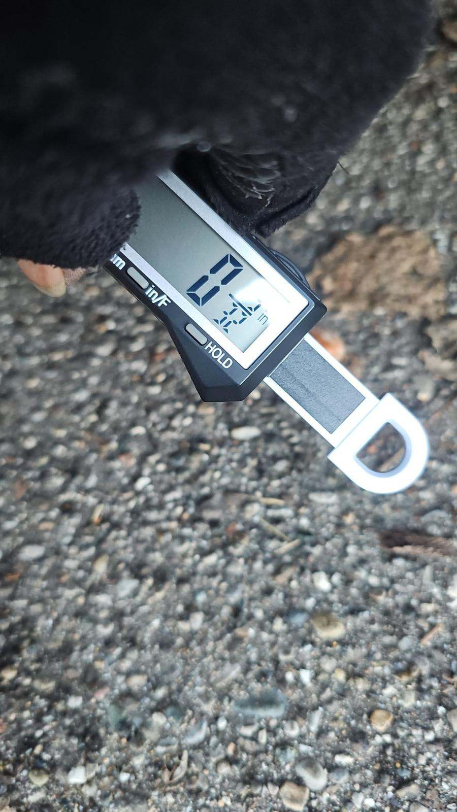 2023 Nissan Murano Platinum AWD