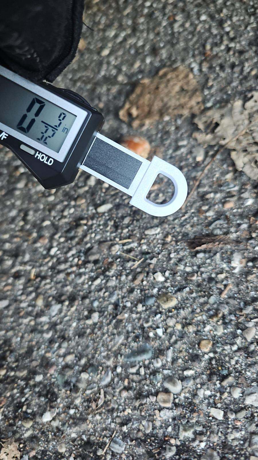 2023 Nissan Murano Platinum AWD