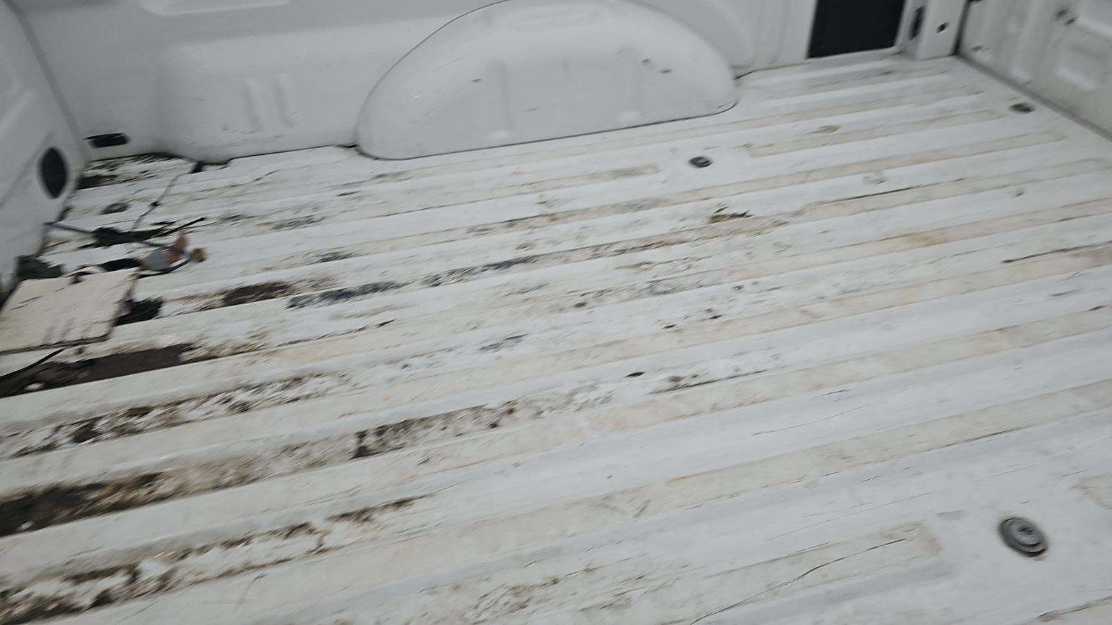 2024 Ford F-150 XLT AWD