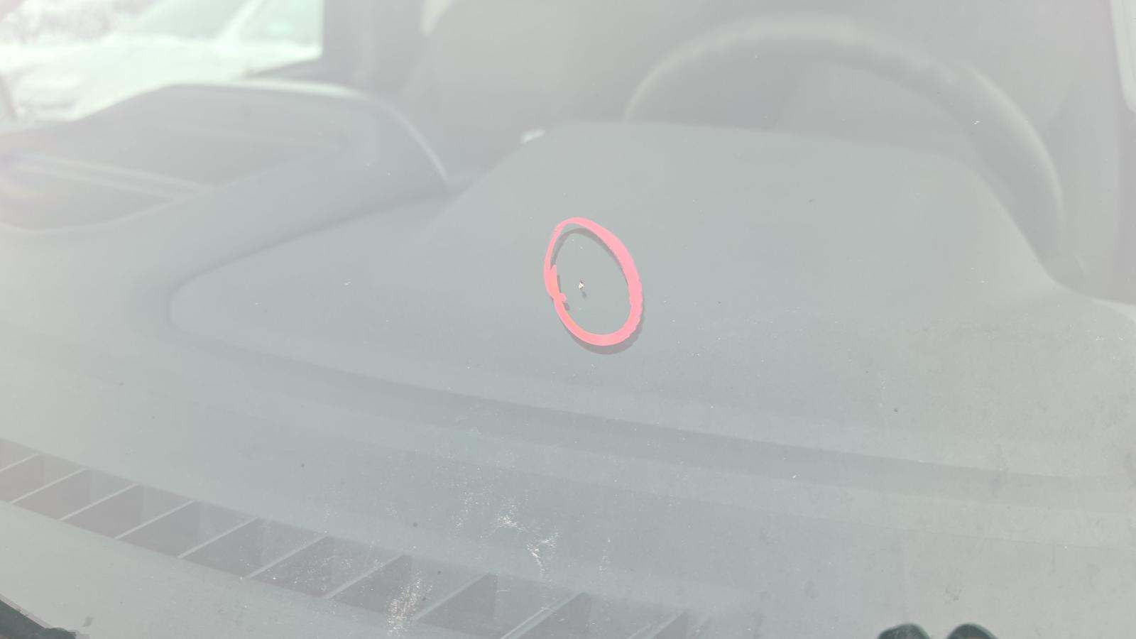 2021 Ford F-150 XLT AWD