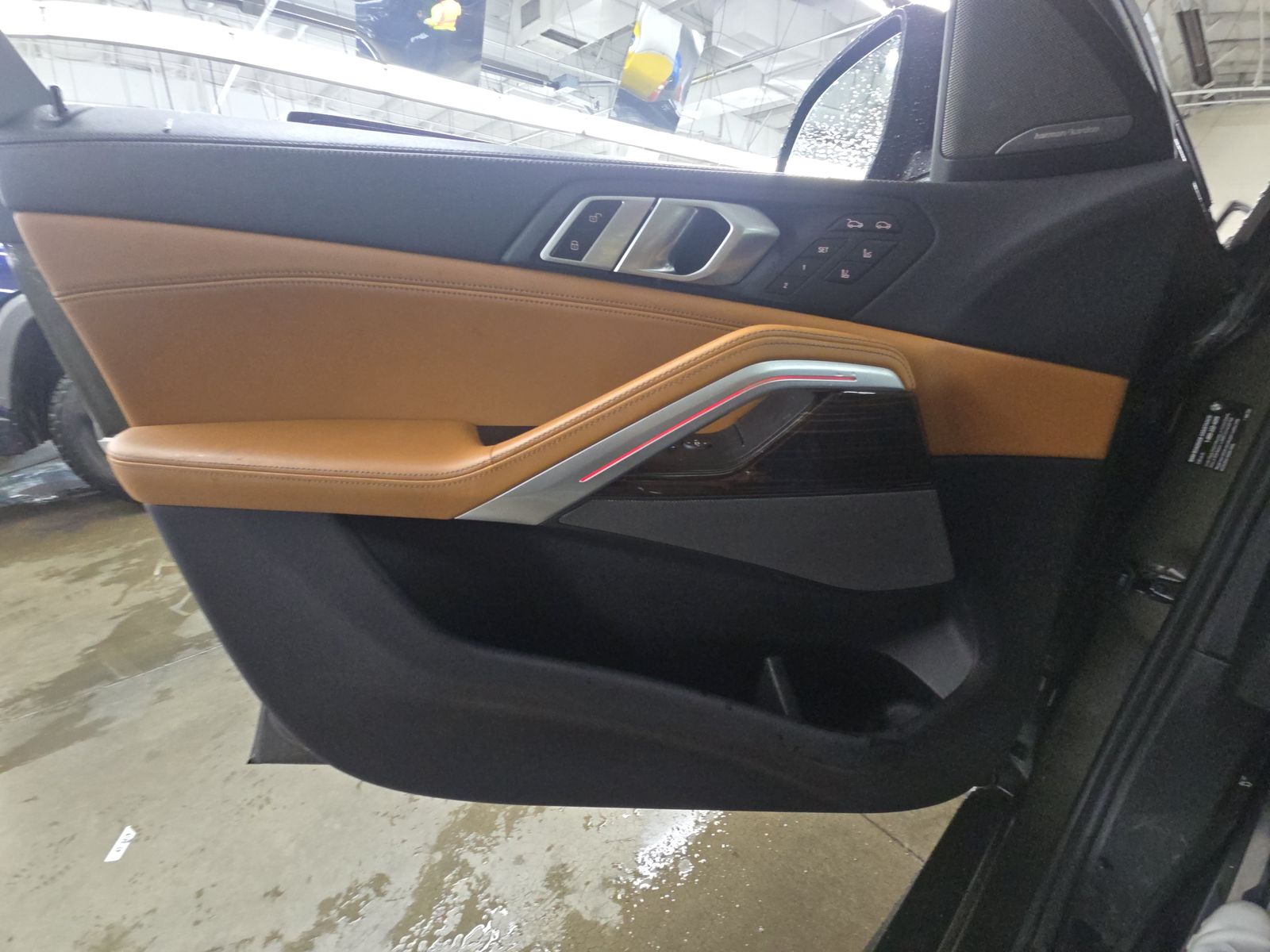 Driver Door Panel