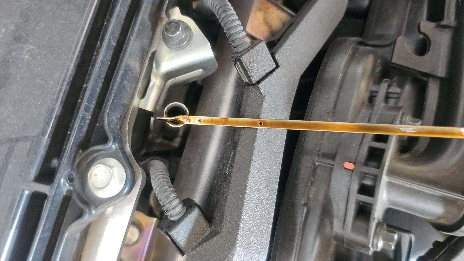 2024 Toyota Corolla XSE FWD