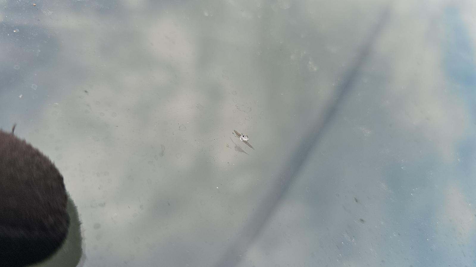 2023 Nissan Rogue SL FWD