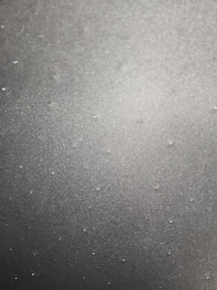 2019 Honda Accord Sport FWD