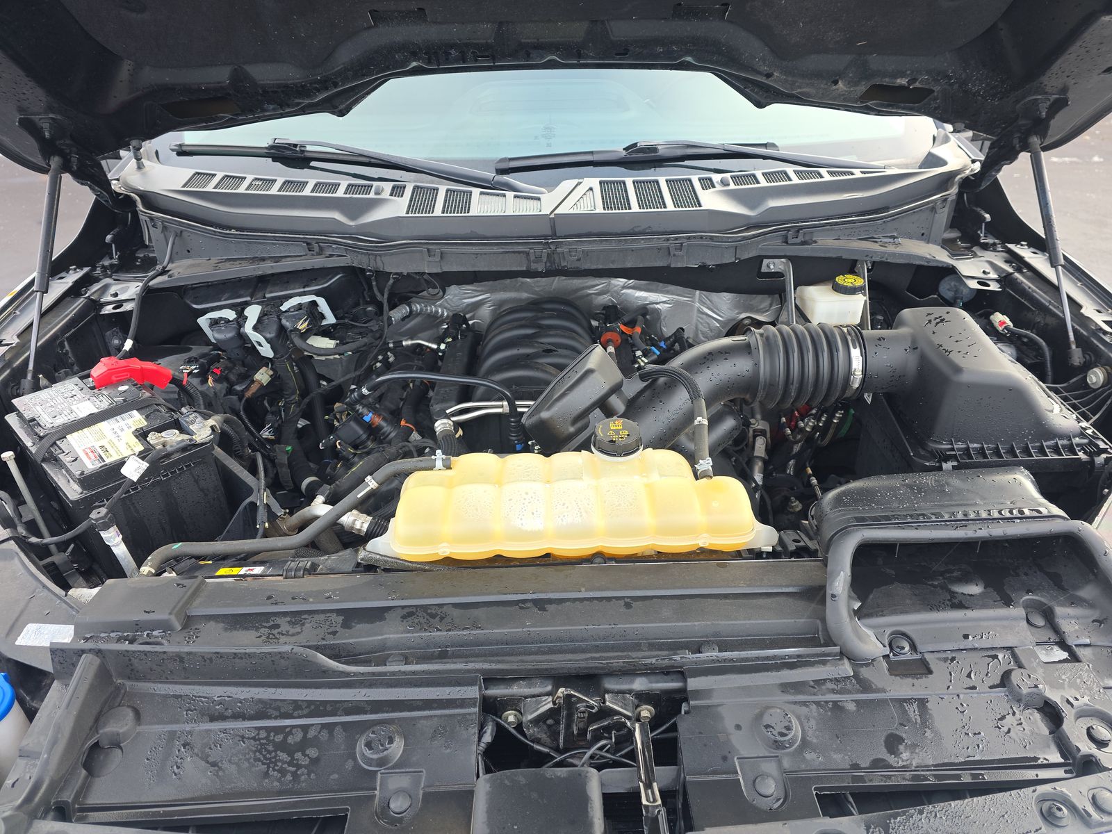 2021 Ford F-150 XLT AWD