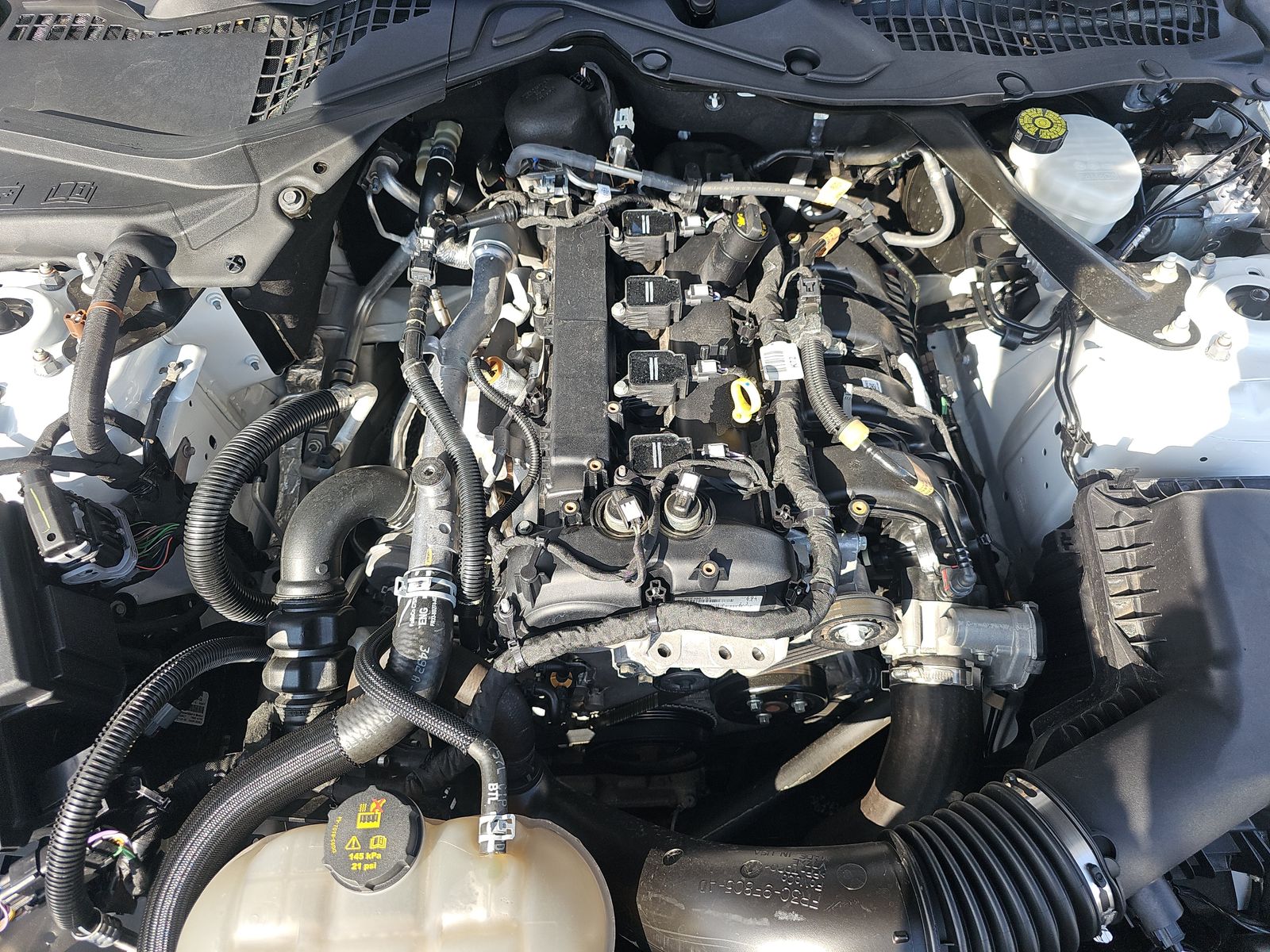 2023 Ford Mustang EcoBoost Premium RWD