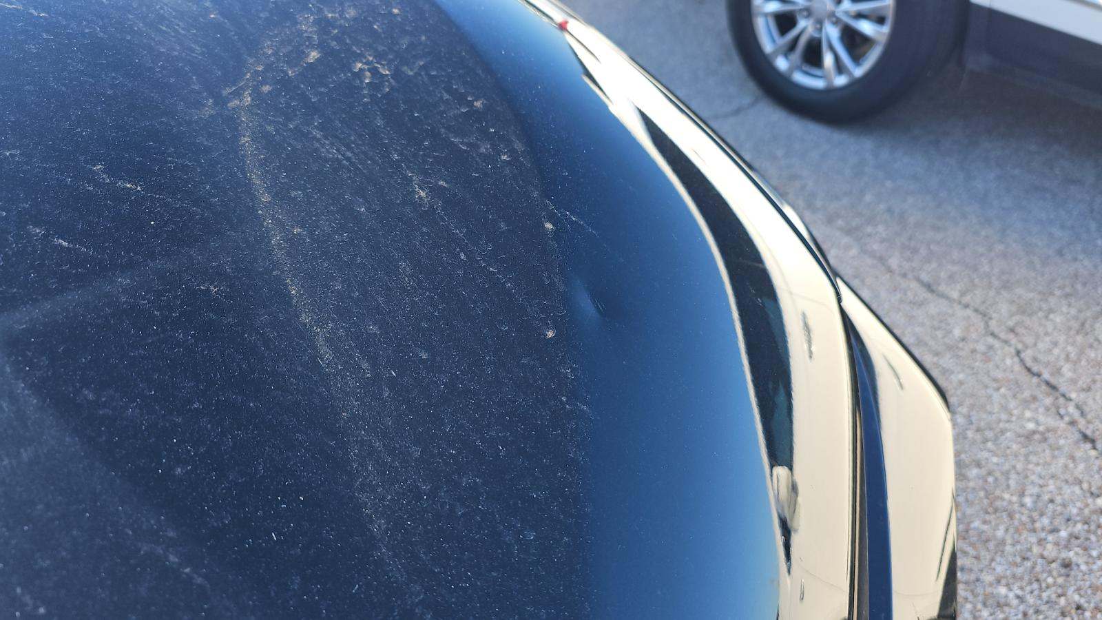 2025 BMW X7 xDrive40i AWD