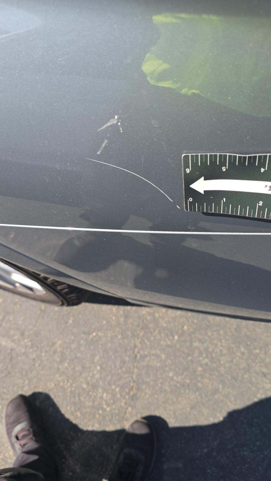 2024 BMW X7 xDrive40i AWD