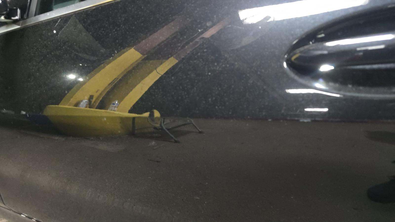 2025 BMW 4 Series 430i RWD