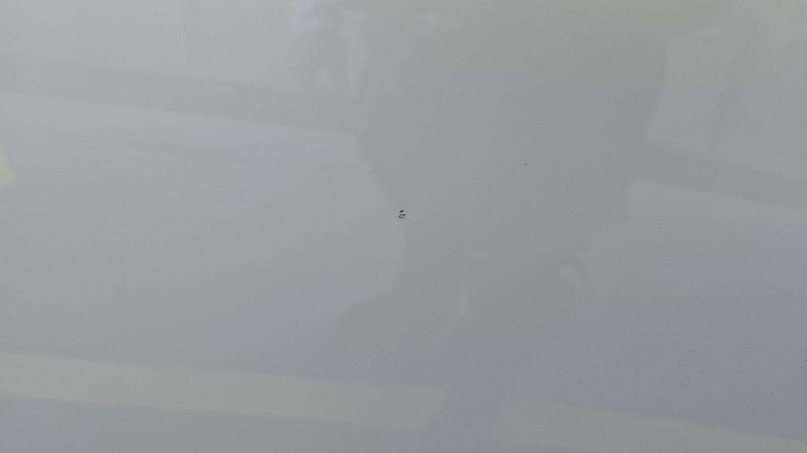 2025 BMW X7 xDrive40i AWD