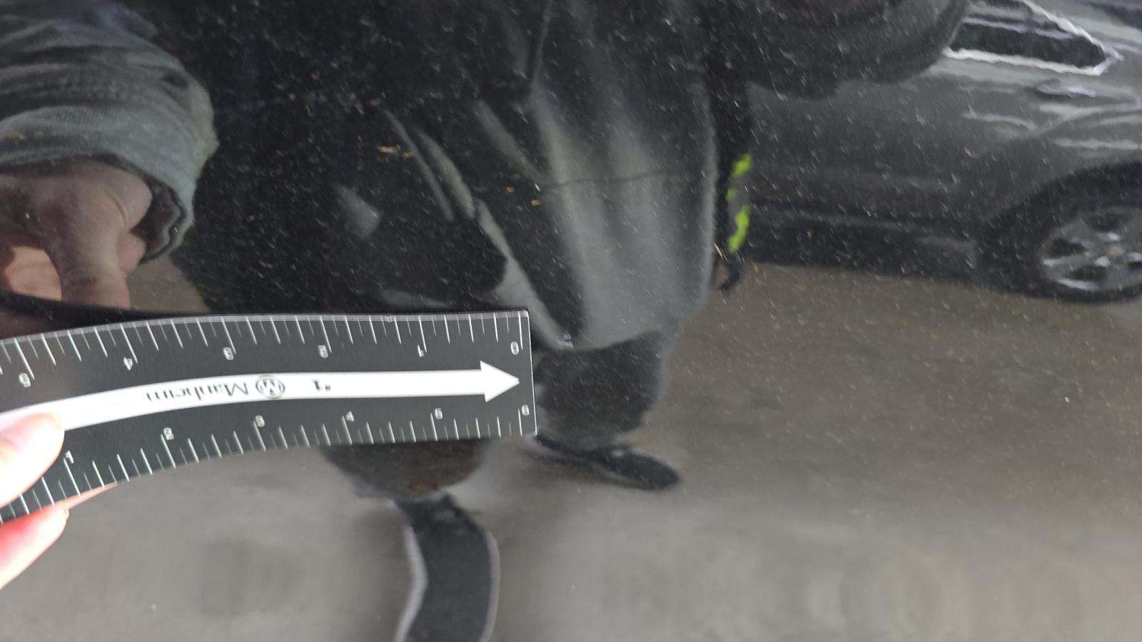 2025 Mercedes-Benz GLS GLS 450 AWD