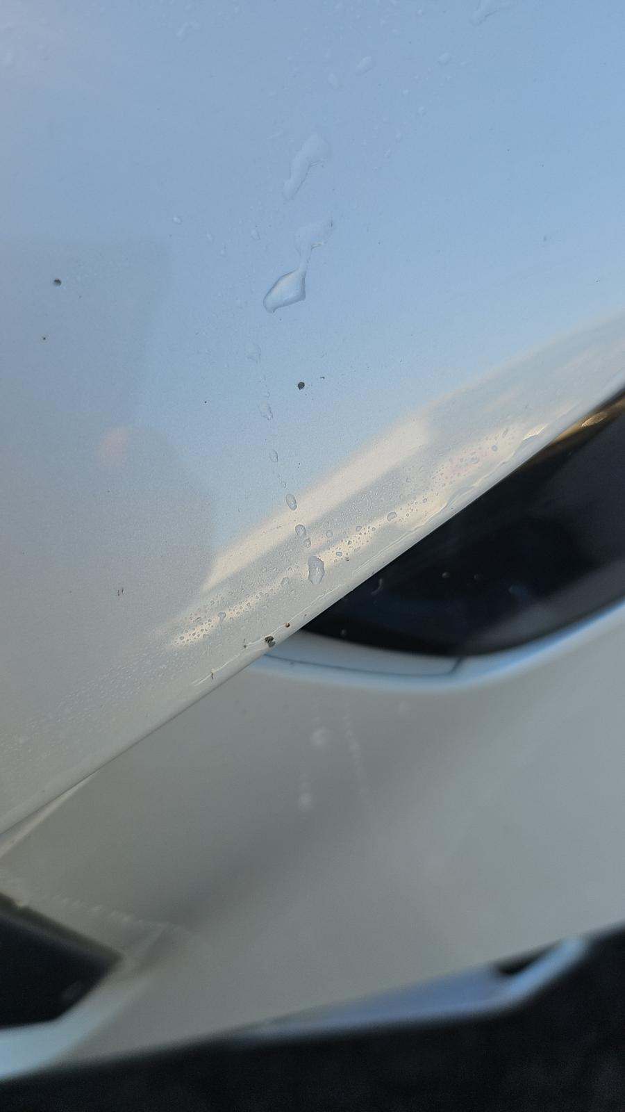 2024 BMW X5 sDrive40i RWD