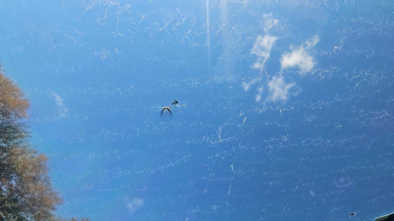 2022 Dodge Challenger R/T Scat Pack RWD