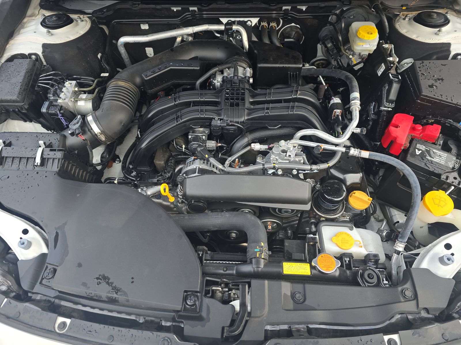 2024 Subaru Outback Premium AWD