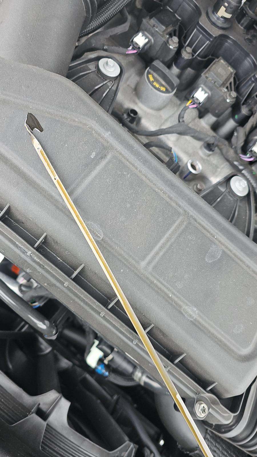 2024 Ford Escape ST-Line FWD