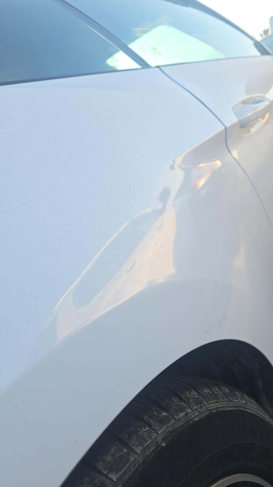 2023 Ford Mustang EcoBoost Premium RWD