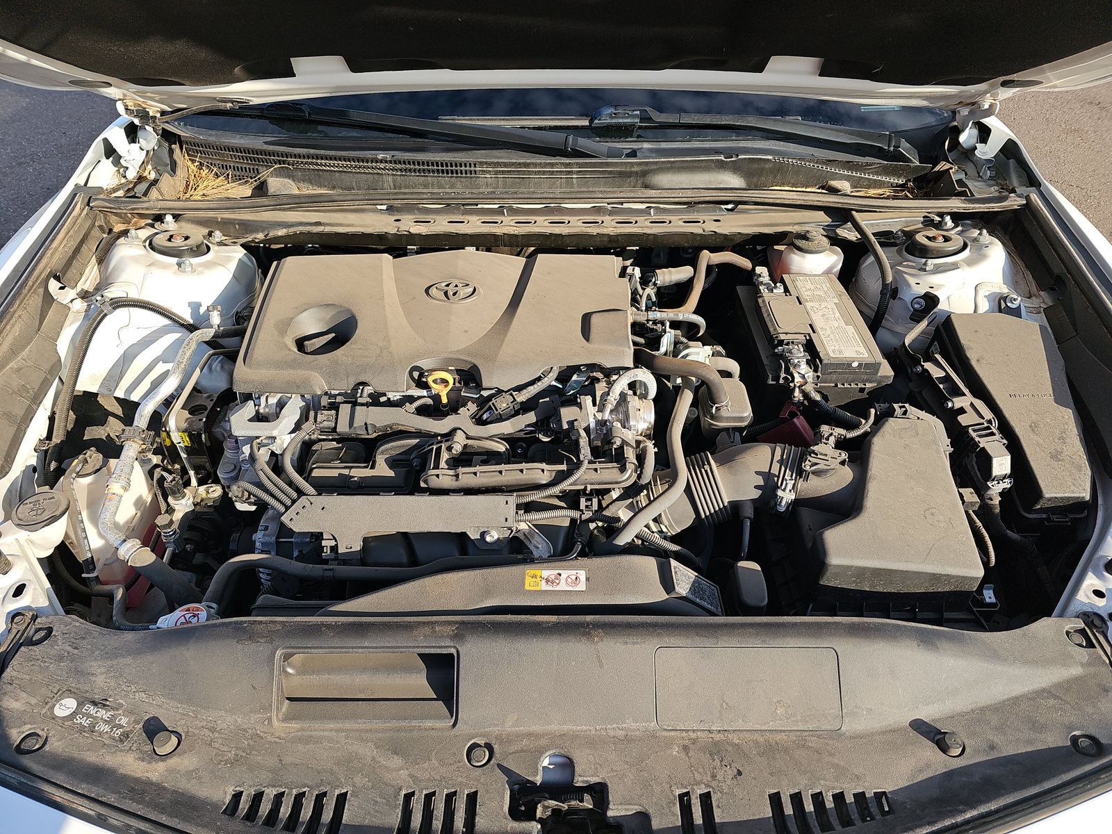 2023 Toyota Camry LE FWD