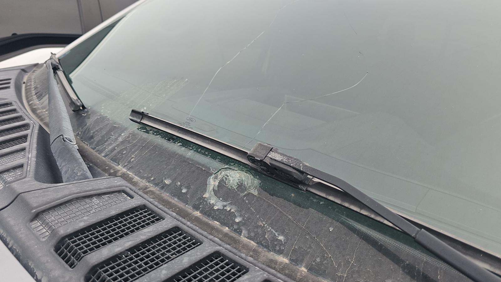 2020 Ford F-150 XLT AWD