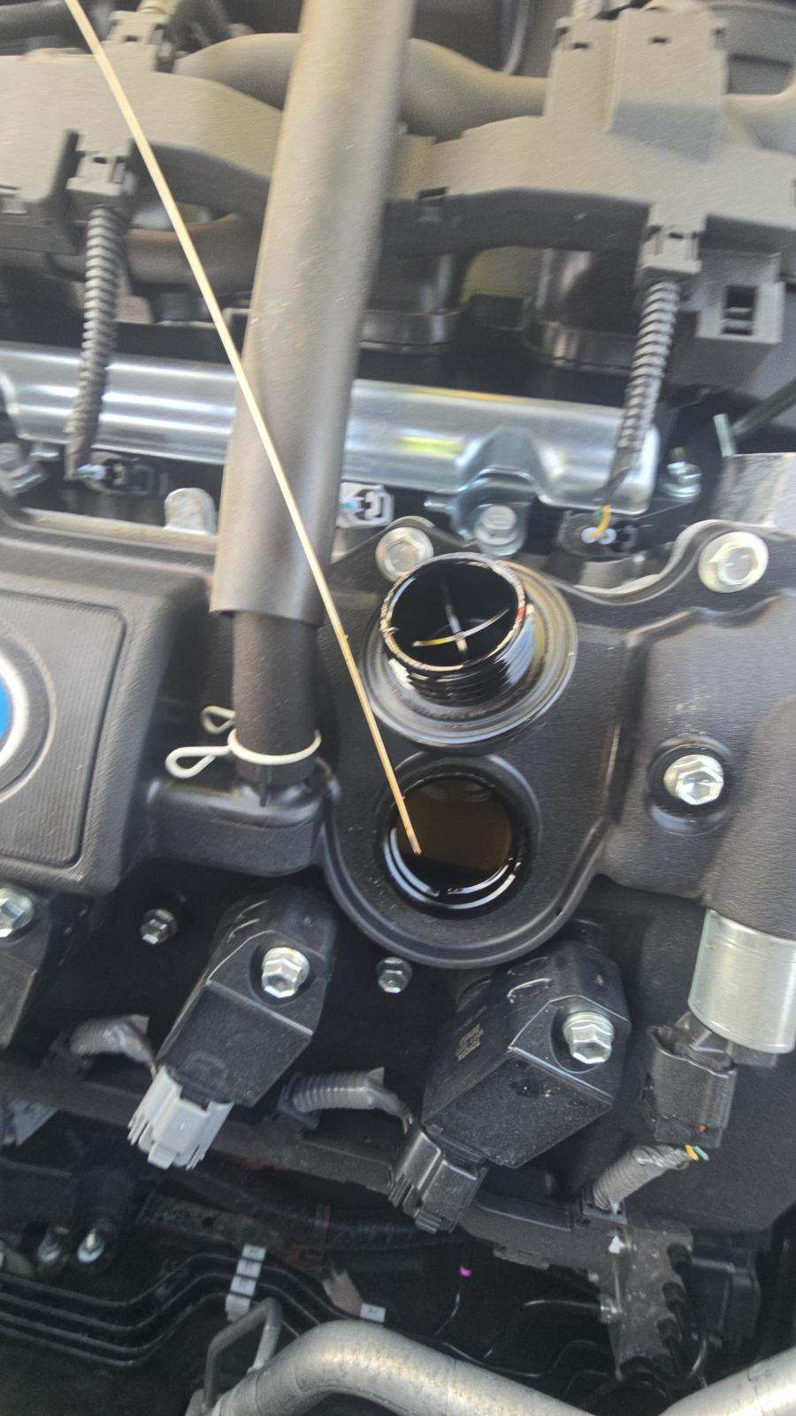 2024 Toyota Corolla Hybrid SE FWD