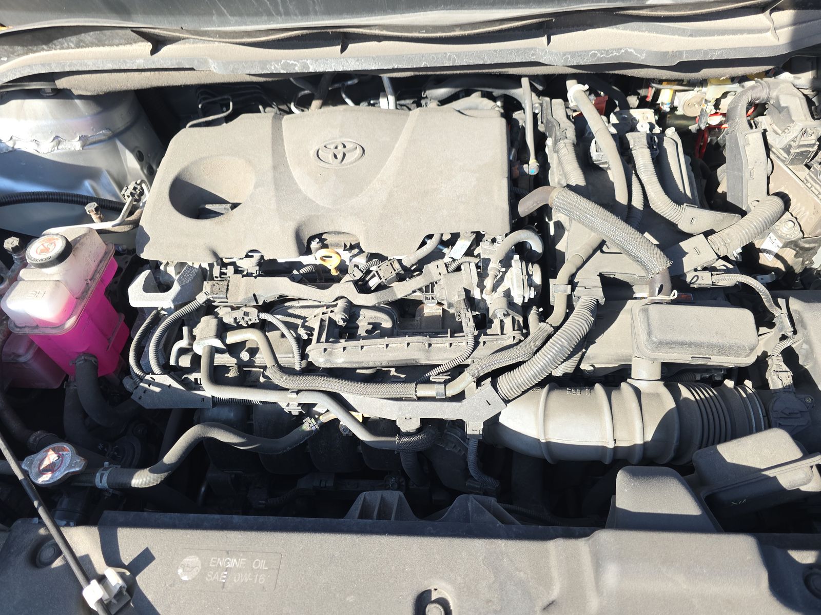 2023 Toyota Sienna XLE FWD