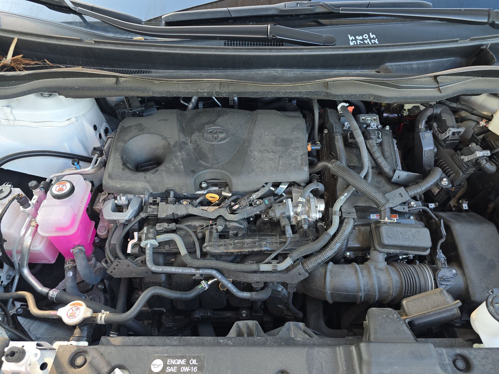 2024 Toyota Sienna LE FWD