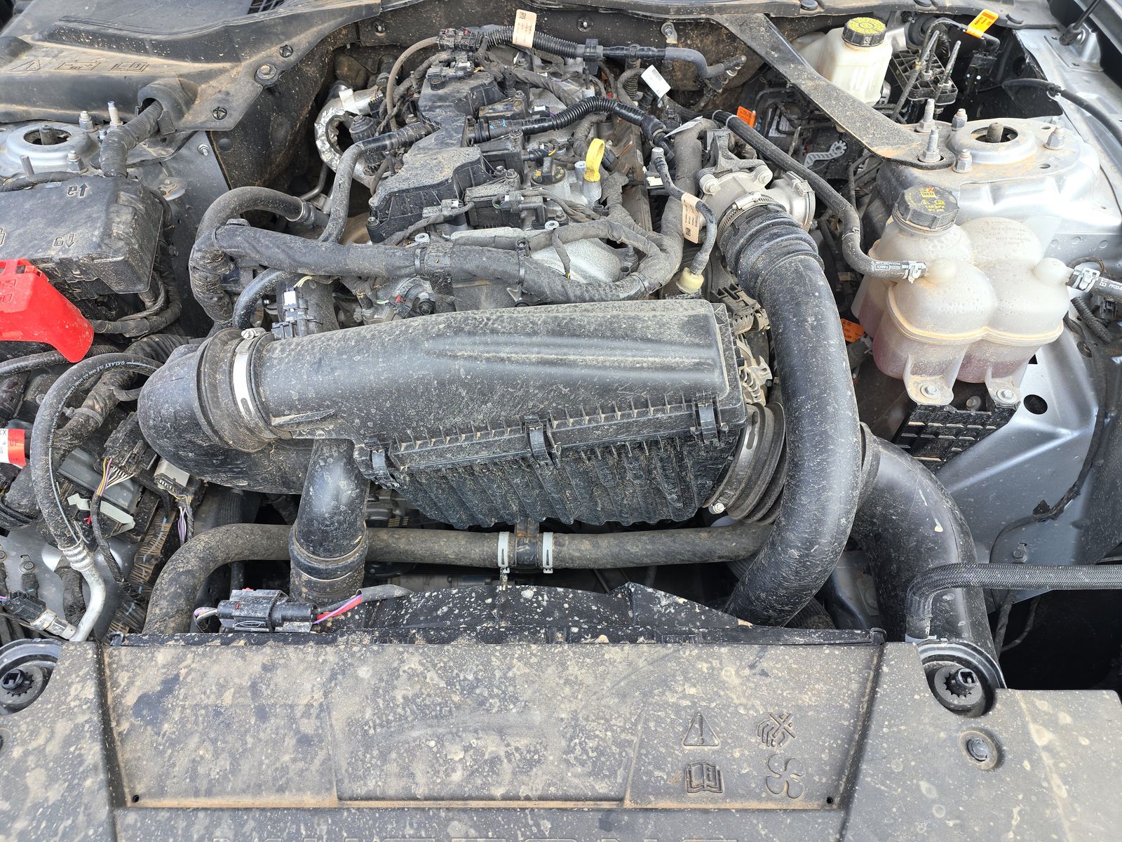 2024 Ford Mustang EcoBoost Premium RWD