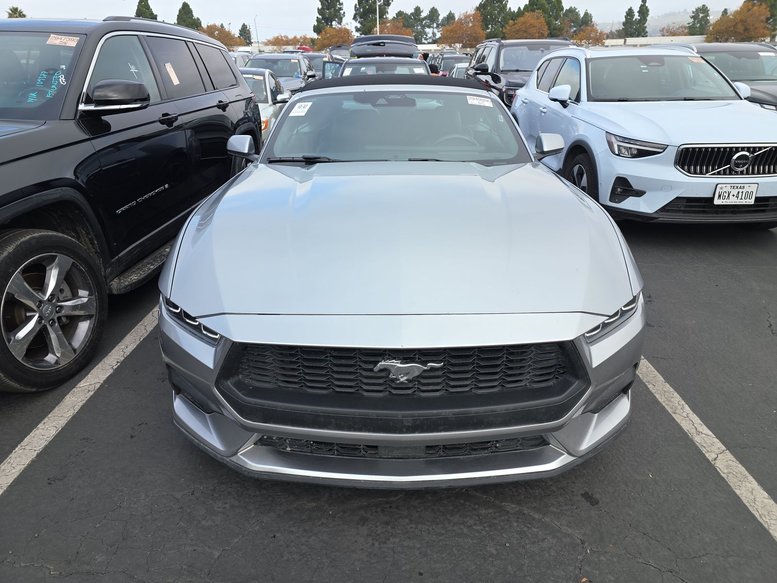 2024 Ford Mustang EcoBoost Premium RWD