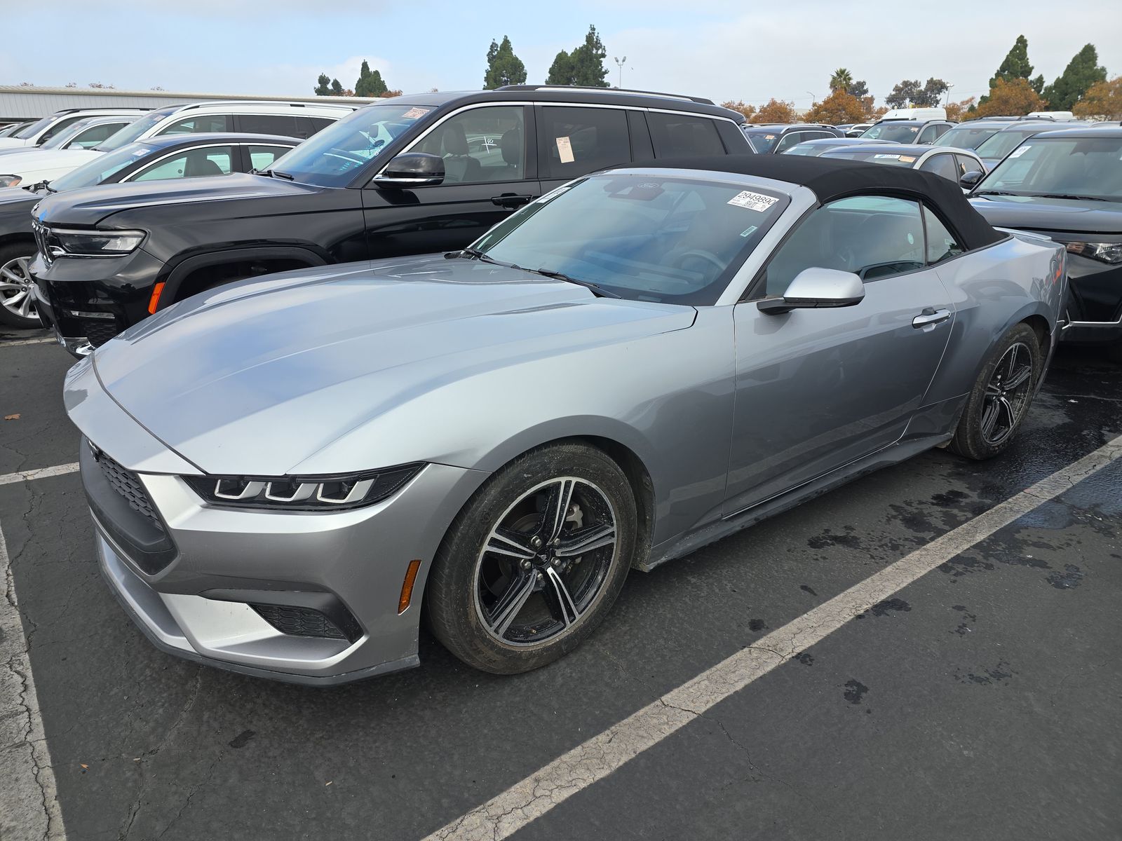 2024 Ford Mustang EcoBoost Premium RWD