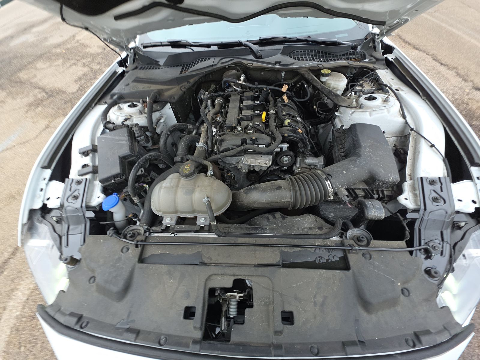 2023 Ford Mustang EcoBoost FWD