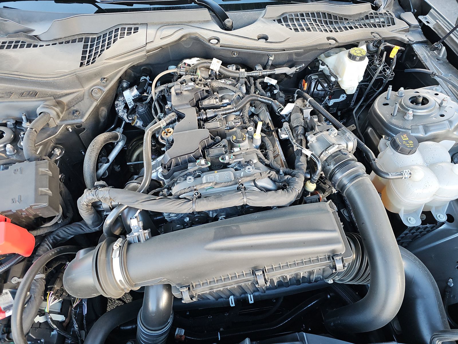 2025 Ford Mustang EcoBoost Premium RWD