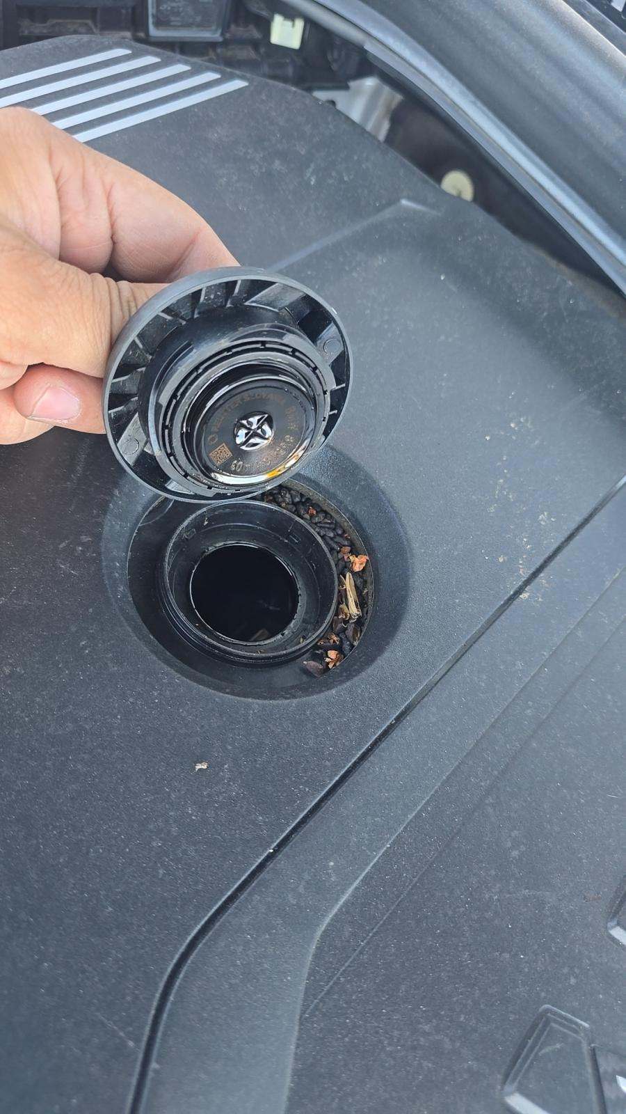 2023 BMW 5 Series 530i RWD