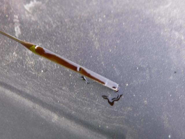 2024 Ford Edge Titanium AWD