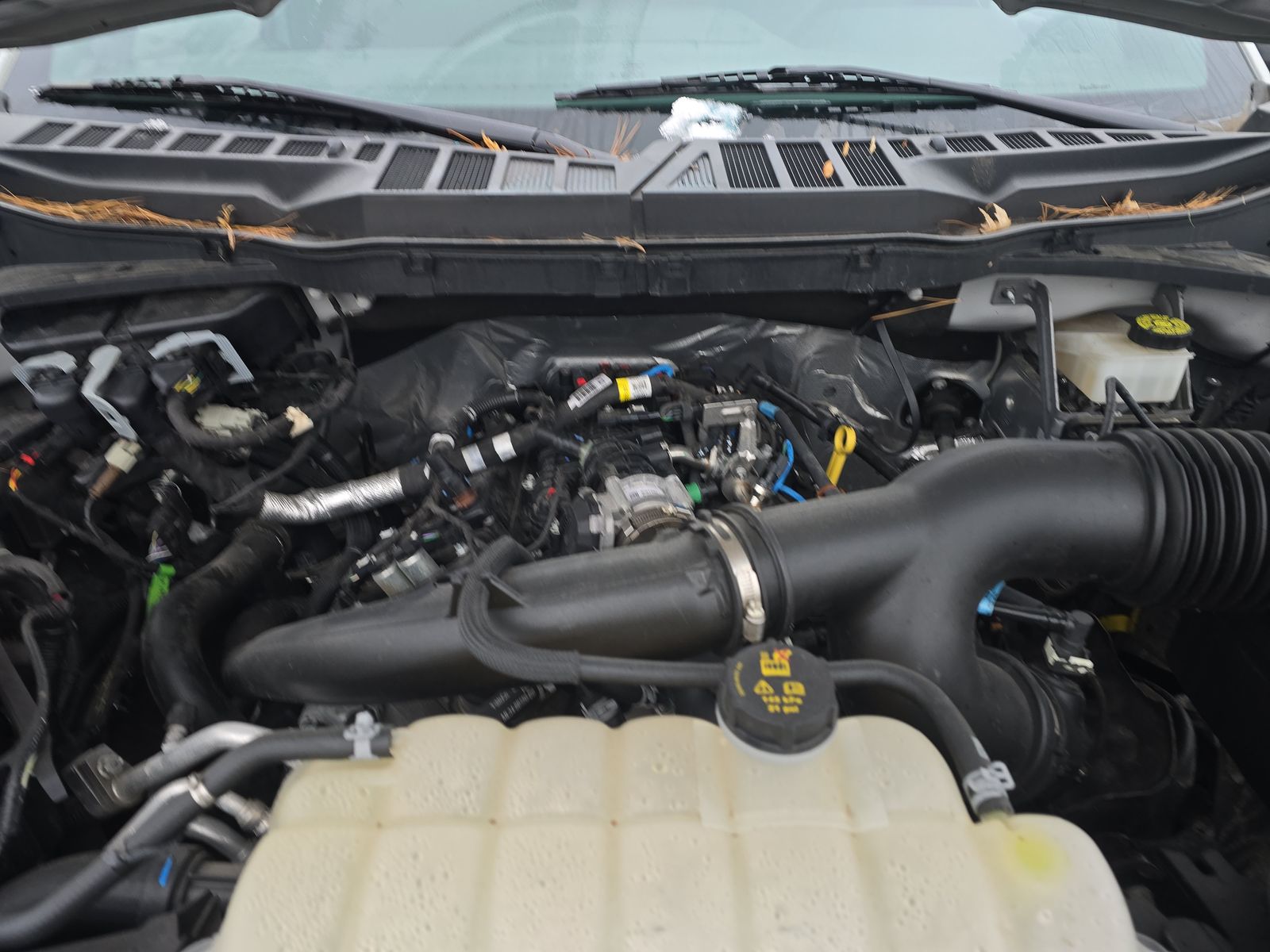 2024 Ford F-150 XLT AWD